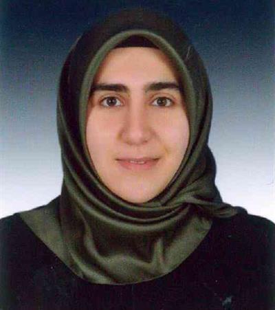 ars-gor-sultan-kocak